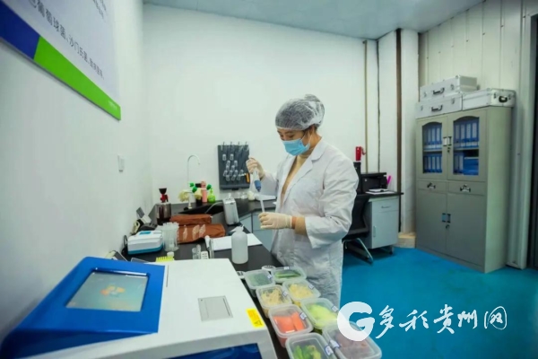 贵州万山:延长产业链 &ldquo;黔货&rdquo;好出山