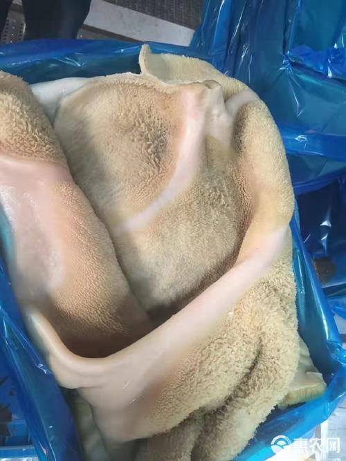 冻品类型冷藏低温存储包装(预包装食品)包装方式牛肚品种名6